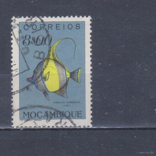 [1707] Португальский Мозамбик 1951. Фауна.Рыба.8 э. Гашеная марка.