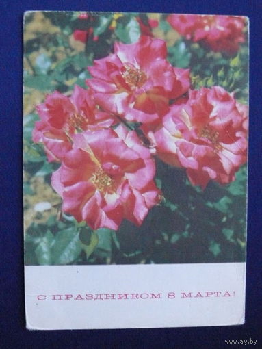 Фото Кропивницкого И., С праздником 8 Марта! 1969, подписана.