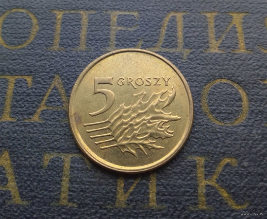 5 грошей 2009 Польша #01