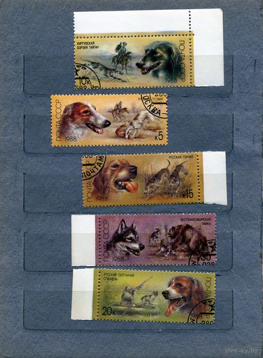 СССР, 1988, ПОРОДЫ СОБАК, серия 5м гашеная