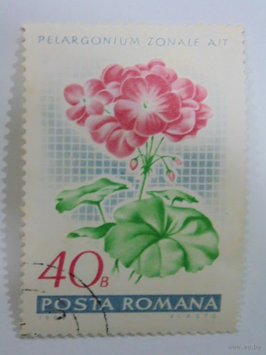 Румыния 1966 г. Цветы.