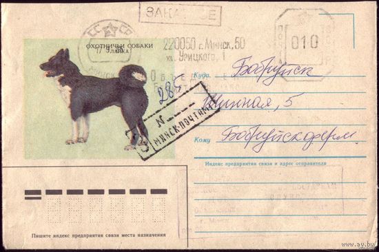 1985 год Лайка