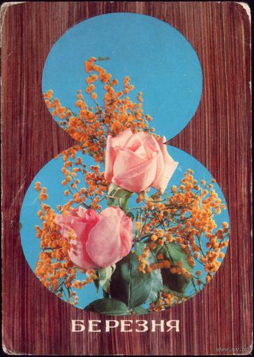 1974 год Г.Корниенко 8 беразня