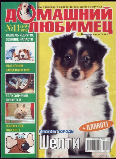 Домашний любимец #69