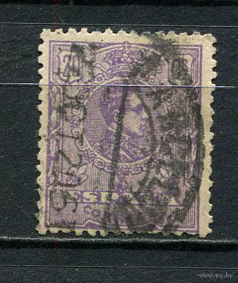 Испания (Королевство) - 1917/1921 - Король Испании Альфонсо XIII - 20C - [Mi.245] - 1 марка. Гашеная.  (Лот 36Fv)-T25P32