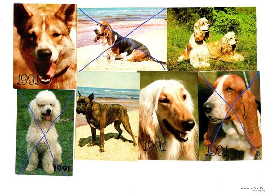 Календарики-Собаки
