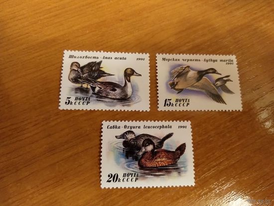 1991 СССР Загорский 6268-6270 чистая полная серия MNH** фауна птицы (c-8)