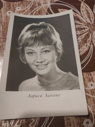 Артисты Лужина