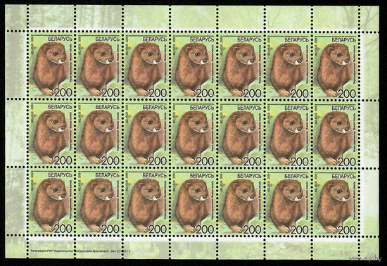 Беларусь. 2008. Стандарт. Норка европейская (200р) (з.21-2011) Лист