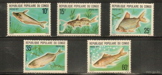 Конго -1977(Мих.564-568),  ** ,   Морская  Фауна ,  Рыбы (полная серия)