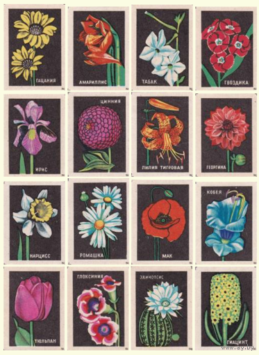 Спичечные этикетки. Сувенирный набор. Цветы