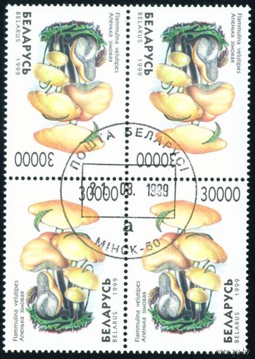 Грибы Беларусь 1999 год (341) квартблок