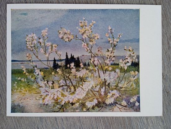 1956. Новиков. Весна над вечной мерзлотой