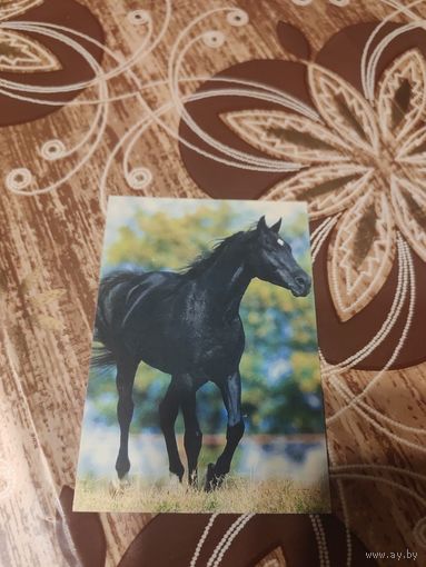 Календарик,конь,1998