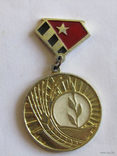 Знак. Значок. "Наградной ветеранский". "30-летие освобождения Быховского района от немецко-фашистских захватчиков". САЗ. Ретро СССР 1944-1974.