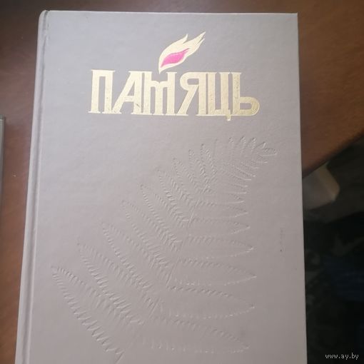 Книга Память Чаусский р-н