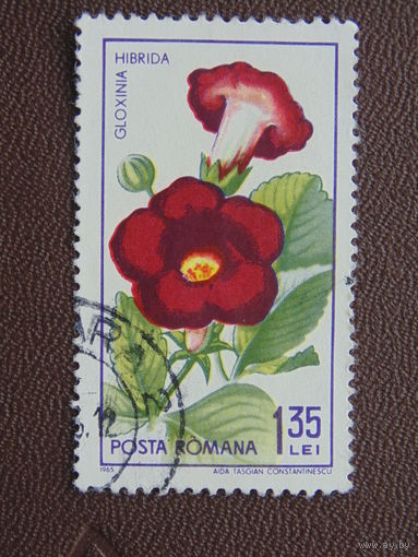 Румыния 1965 г. Цветы.