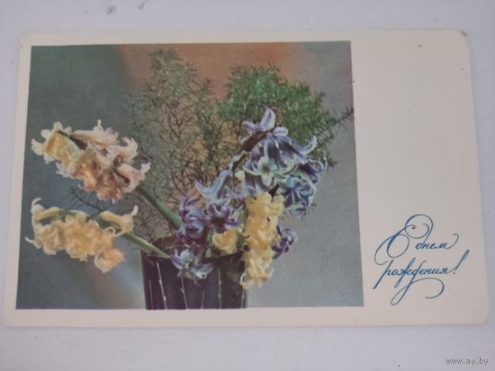 Открытка "С днем рождения!" фото Л.Тарасовой 1968 г.
