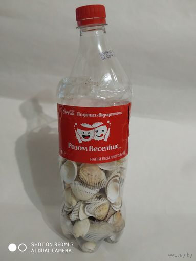 Морские ракушки