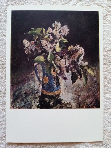 Серов. Сирень