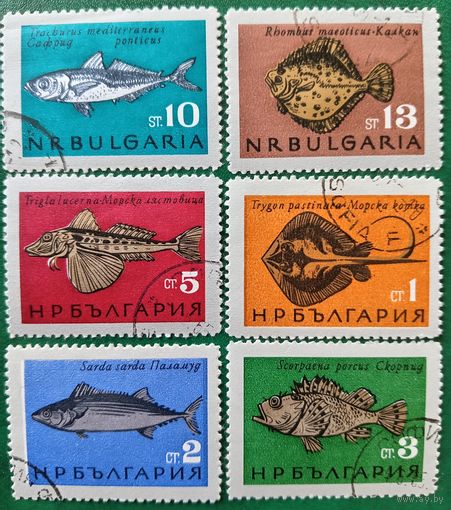 Болгария 1965. Фауна. Рыбы. Полная серия