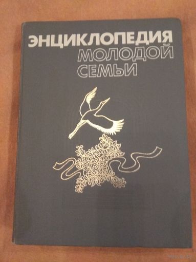 Энциклопедия молодой семьи