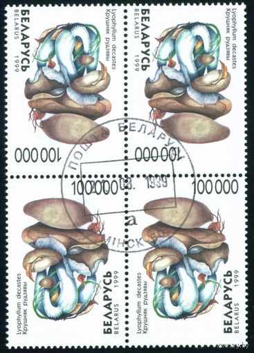 Грибы Беларусь 1999 год (344) квартблок
