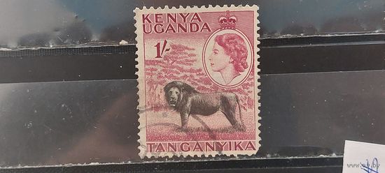 РАСПРОДАЖА. КЕНИЯ, УГАНДА, ТАНГАНИКА 1954г. Гаш.
