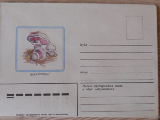 НЕМАРКИРОВАННЫЙ КОНВЕРТ "ШАМПИНЬОНЫ"