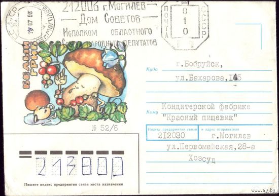 1991 год Белый гриб