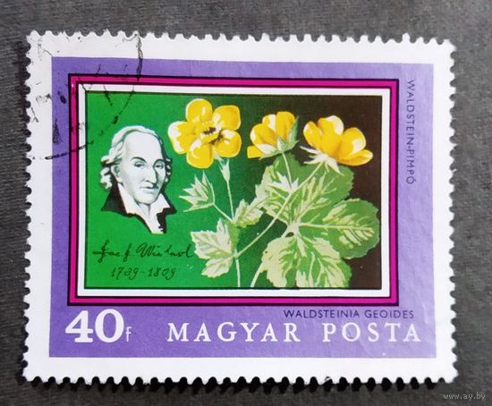 Марка Венгрия 1971 год 200 лет Ботаническому саду Будапештского университета