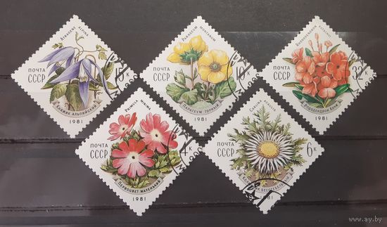 СССР. 1981 год. Флора
