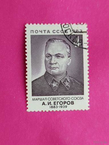 СССР. 100 лет со дня рождения А. И. Егорова (1883 - 1939). ( 1 марка ) 1983 года. 7-16.