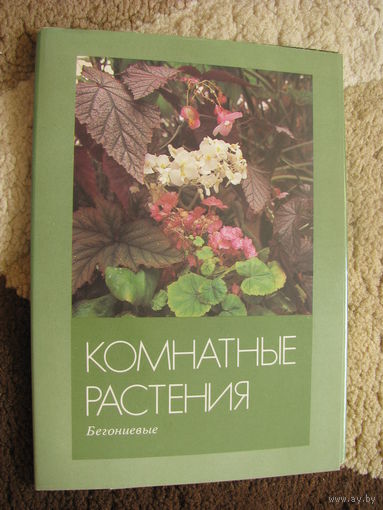 Комнатные растения Бегоневые Выпуск 3