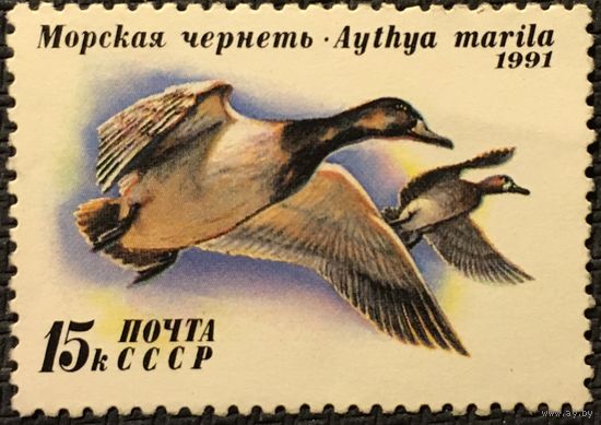 ЦІКАВІЦЬ АБМЕН! 1991, марскі чэрнь (15)