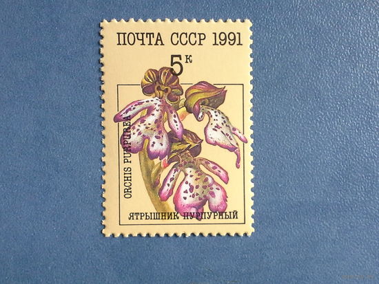 Ссср 1991. Ярышник пурпурный.