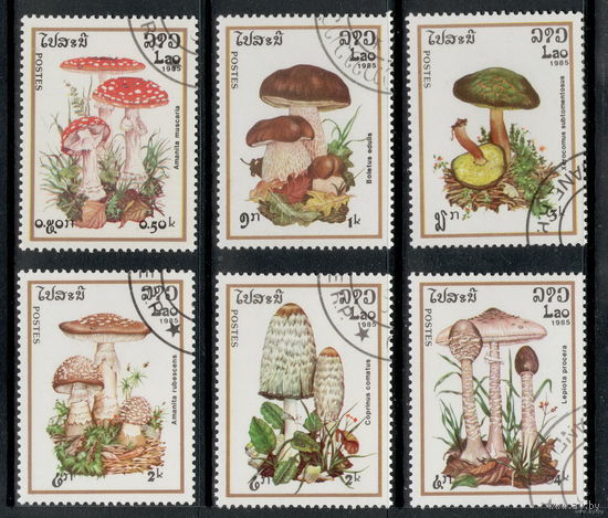 Лаос 1985. Грибы