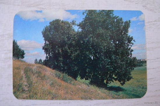 Календарик, 1989, Природа.