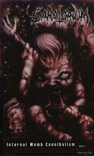 Sanatorium "Internal Womb Cannibalism" кассета