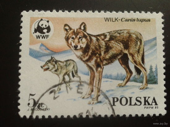 Польша 1985 волки WWF