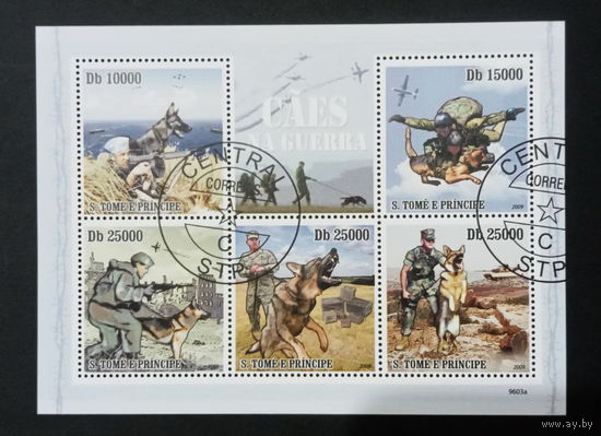 ФАУНА СОБАКИ ПОРОДЫ СОБАК ЖИВОТНЫЕ     БЛОК  сто