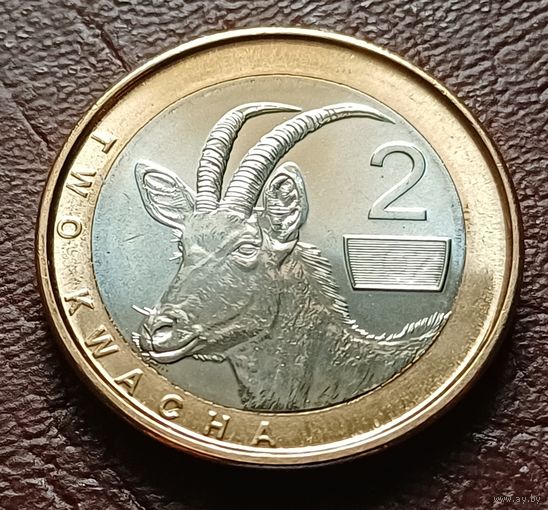 Замбия 2 квачи, 2024    ( 2-9-7 )