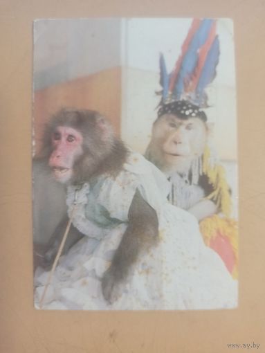 Календарь 1984/1