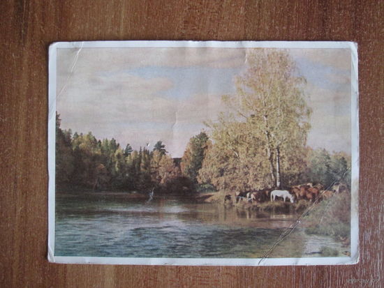 Почтовая открытка.1950г.