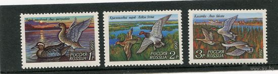 Россия 1992. Утки