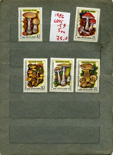СССР, 1986, ЯДОВИТЫЕ ГРИБЫ, серия 5м, ( на "СКАНЕ" справочно приведены номера и цены по ЗАГОРСКОМУ)