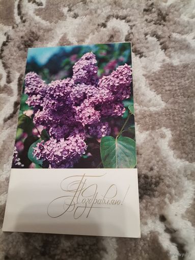 Открытка Поздравляю чистая 1973