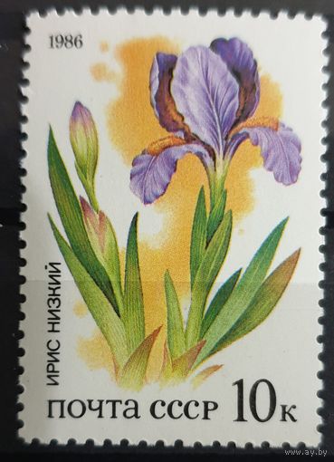 1986 Охраняемая флора степей СССР