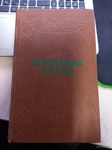 Образцовая кухня и практическая школа домашняго хозяйства. 3000 рецептов, проверенных практикою. Репринт 1882 года.