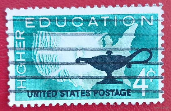 США, 1962 г., высшее образование